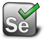 Image for the Selenium Training in Slovakia